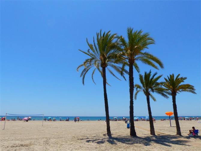 Apartamento En El Centro De Elche Con Terraza La Alborada Екстериор снимка