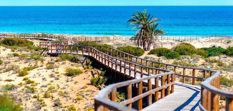 Apartamento En El Centro De Elche Con Terraza La Alborada Екстериор снимка