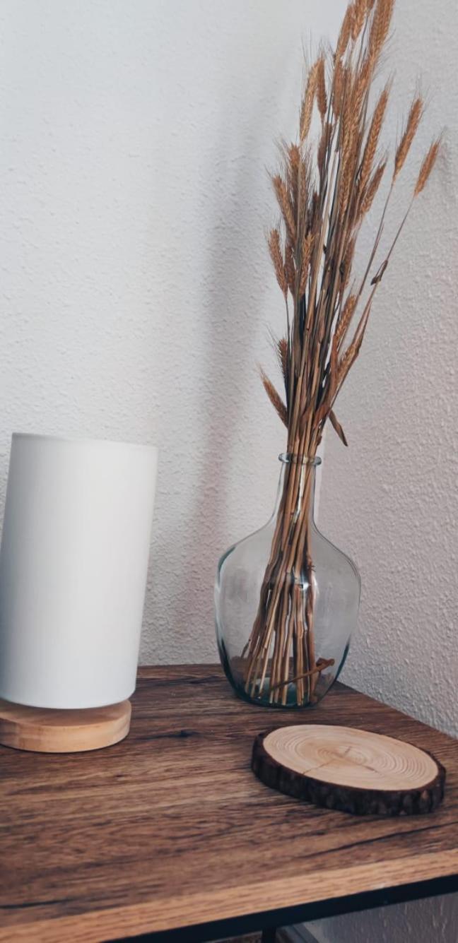 Apartamento En El Centro De Elche Con Terraza La Alborada Екстериор снимка